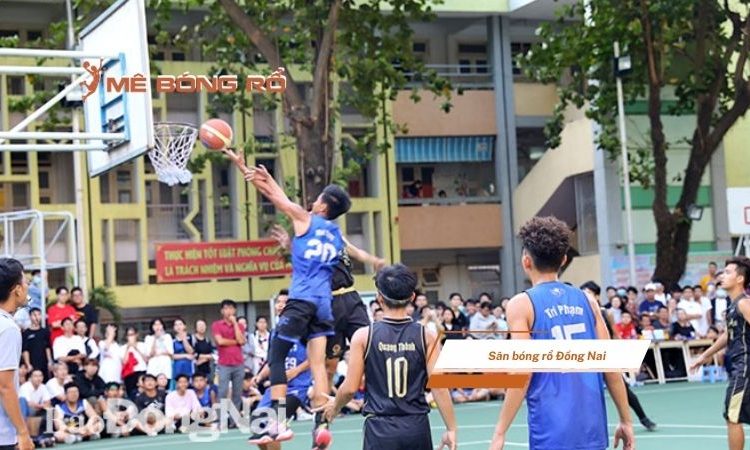 Top 6 sân bóng rổ Đồng Nai rộng rãi, đạt tiêu chuẩn 2025