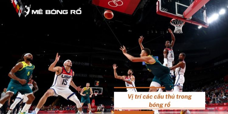 Vai trò từng vị trí các cầu thủ trong bóng rổ chi tiết nhất
